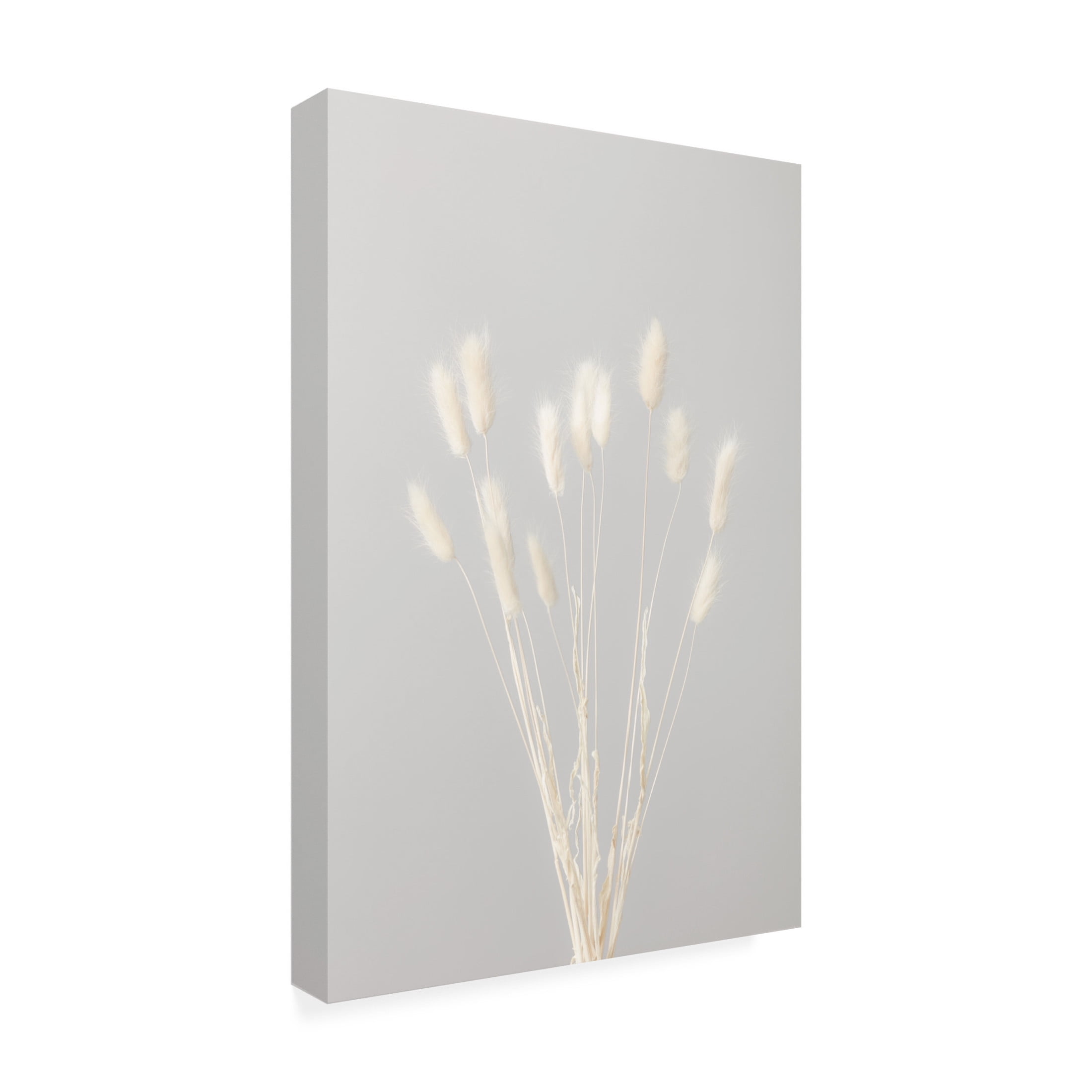 Trademark Fine Art Pictufy Studio Bunny Grass No 1 Canvas Wall Art