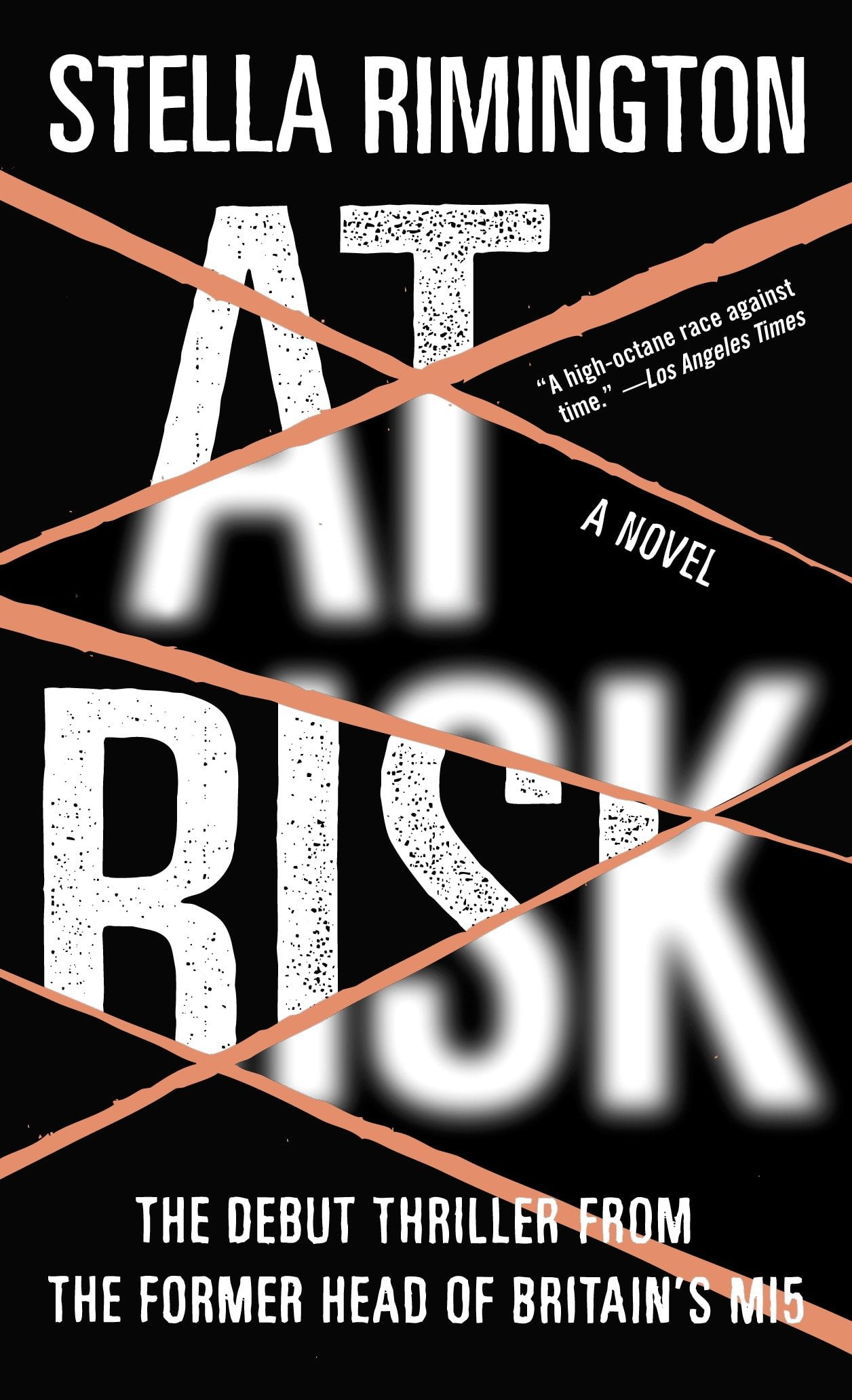 the remarkable story of risk