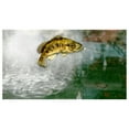 thumbnail image 6 of Activision Rapala Pro Bass Fishing 2010, No, 6 of 10
