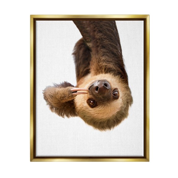Stupell Industries Upside-down Sloth Portrait Animals & Insects Painting Gold Floater Framed Art Print Wall Art, 25 x 31