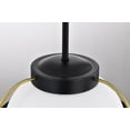 thumbnail image 5 of 60/7775-Nuvo Lighting-Lakeshore - 1 Light Large Pendant-14.88 Inches Tall and 18 Inches Wide-Matte Black Finish    -Traditional Installation, 5 of 16