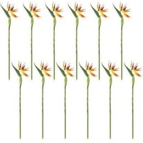 12 Pack: Yellow Bird of Paradise Stem by Ashland