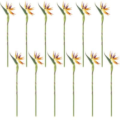 12 Pack: Yellow Bird of Paradise Stem by Ashland