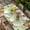 Fruit Green, variant on Christmas Green Table Cloths for 6 Foot Rectangle Tables, Xmas Cute Elk Winter Leaves Cartoon Snowflake Patio Waterproof Elastic Fitted Tablecloths, Washable Rectangular Table Cover for Camping