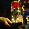 thumbnail image 1 of Rosa Encantada JanHm La Bella y La Bestia Cúpula de Vidrio con Base de Pino Luces LED, 1 of 4
