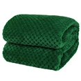 thumbnail image 1 of PAVILIA Premium Flannel Fleece Bed Throw Blanket for Sofa couch Emerald green Waffle Textured Soft Fuzzy Blanket Warm cozy Microfiber Plush Twin Si, 1 of 8