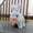 R, variant on Upgraded Easter Bunny Toy Interactive Hopping Electronic Pet Bunny Toy With Sounds And Movements Animated Walking Ears Nose For Kids And Collectors T