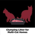 thumbnail image 6 of ARM & HAMMER Clump & Seal Platinum, Complete Odor Sealing Clumping Cat Litter, Multi-Cat, 27.5 lb, 6 of 12