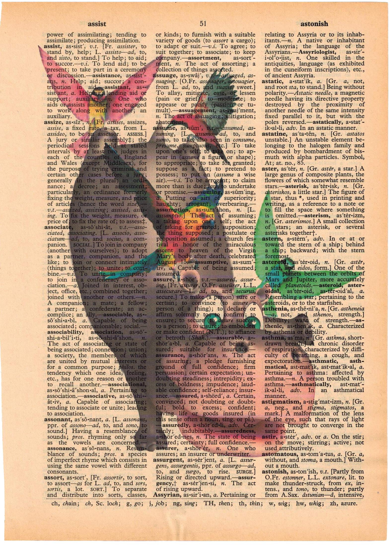 Artnwordz A Little Help Birds & Hippo Dictionary Page Art