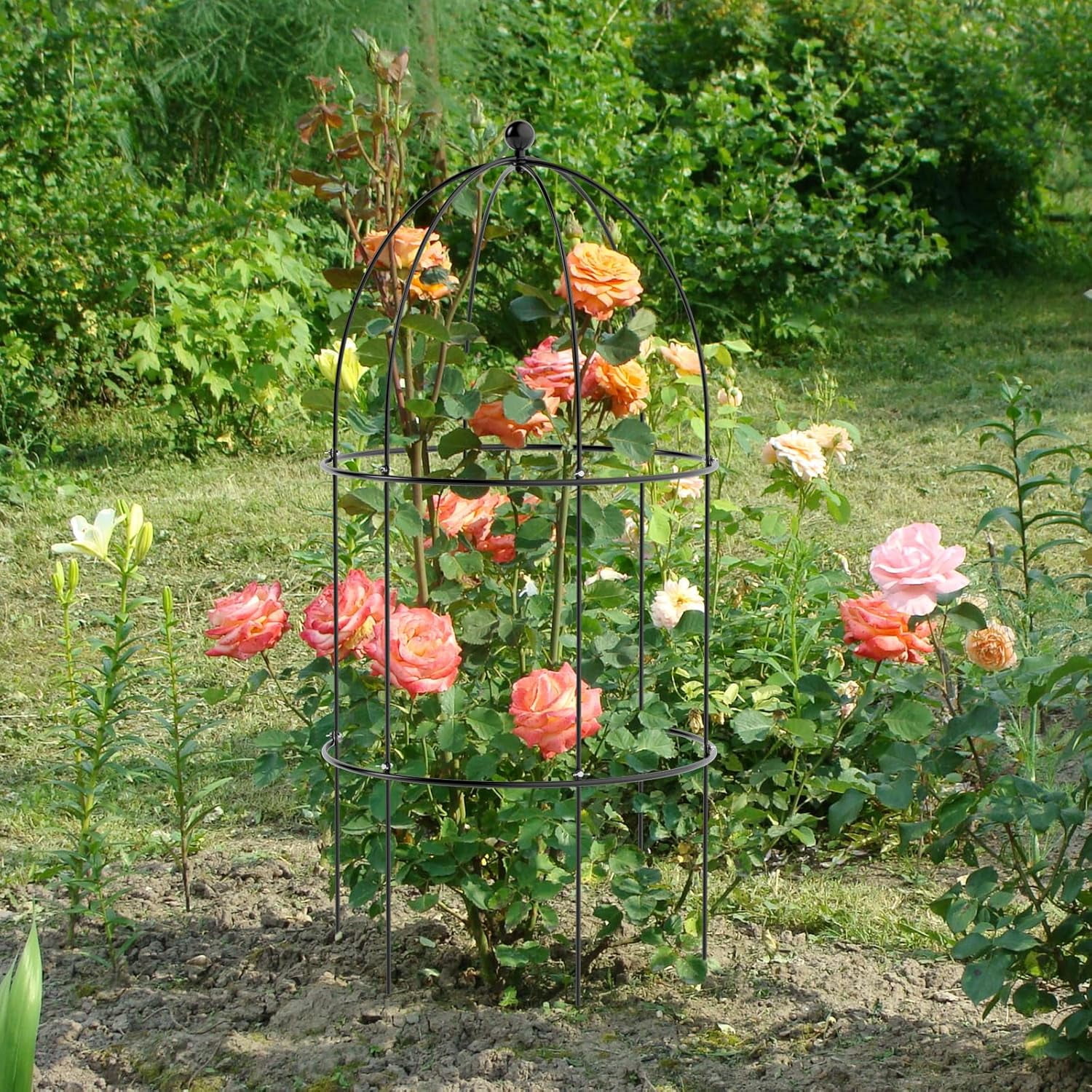 ABORON 3 Pack Garden Trellis for Climbing Plants, 15.7" x 31.5" Metal Rustproof Tomato Cage, Outdoor Indoor Flowers Potted Obelisk Trellis for Cucumber Vine Peony Lily Rose Plant Support
