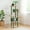 Green, variant on Pefilos 74" Large Cat Tree Tower for Indoor Cats, Fat Cats with Big Hammock, Cat Climbing Tree with Scratching Posts, Condo House and Top Perch, Green