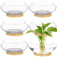 thumbnail image 4 of 6 Pcs Glass Bowl Planter Set, 6 in Hydroponics Vase with Natural Wood Trays, Transparent Plant Growing Container, Decorative Terrarium for Water Plants, Succulents, Home Decor, 4 of 6