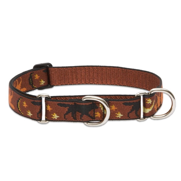 LupinePet Originals 1" Shadow Hunter 19-27" Martingale Collar for Large Dogs