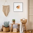 thumbnail image 3 of Stupell Industries Bohemian Orange Nautilus Spiral Gray Framed Print Under Glass, 13 x 13, by Beth Adoette, 3 of 8