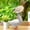 Pink, variant on Clearance! Porch Big White Goose Summer Grass Hat Flower Small Hat Pet Cat Straw Hat Lawn Patio Garden Decor