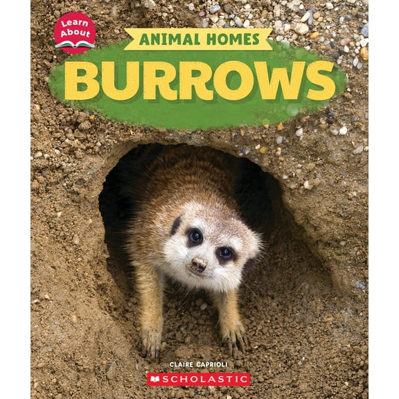 Learn about Burrows (Learn About: Animal Homes), (Paperback)