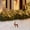 Multicolor, variant on GFHFHITJ Outdoor Deer Christmas Decorations,Lighted Christmas Deer, Glittering Deer With Strip Lights For Outdoor Patio Decoration, Artificial Pre-lit Christmas Decorative Deer LED Lights