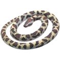 thumbnail image 3 of Serpiente de Goma Wild Republic Python Rock 66 cm Juguete Educativo para Niños, 3 of 5