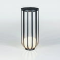 thumbnail image 5 of 2Pack LED Floor Lamp, Solar Power Plant Stand with Lamp, Outdoor LED Plant Stand Floor Lamp, 5 of 11