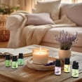 thumbnail image 4 of Essential Oils Set \u2013 6x10ml Aromatherapy Oil Collection for Diffusers, Peppermint, Lavender, Eucalyptus, Lemon, Rosemary, Lemongrass \u2013 Diffuser Oil & Huile Essentielle Pour Diffuseur, 4 of 7