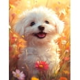 thumbnail image 1 of Diamond Painting Kit DIAMOND ART CLUB Maltese 33x43 cm, 1 of 4