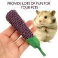 thumbnail image 4 of 6Pcs  Chinchilla Chewing Props Rabbit Nibbling Toy Rat Chew Toy Hamster Molar Plaything, 4 of 6