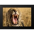 thumbnail image 2 of Jimmyz 14x11 Black Modern Framed Museum Art Print Titled - Leopard Growl, 2 of 5
