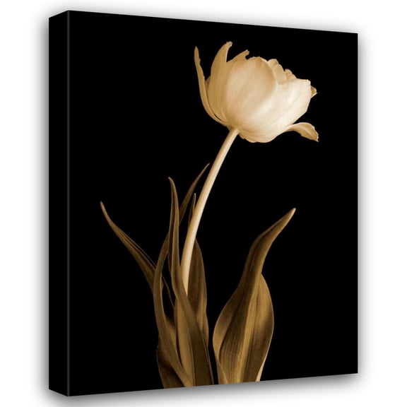 Charles Britt 19x24 Gallery Wrapped Canvas Wall Art Titled - Classic Beauty