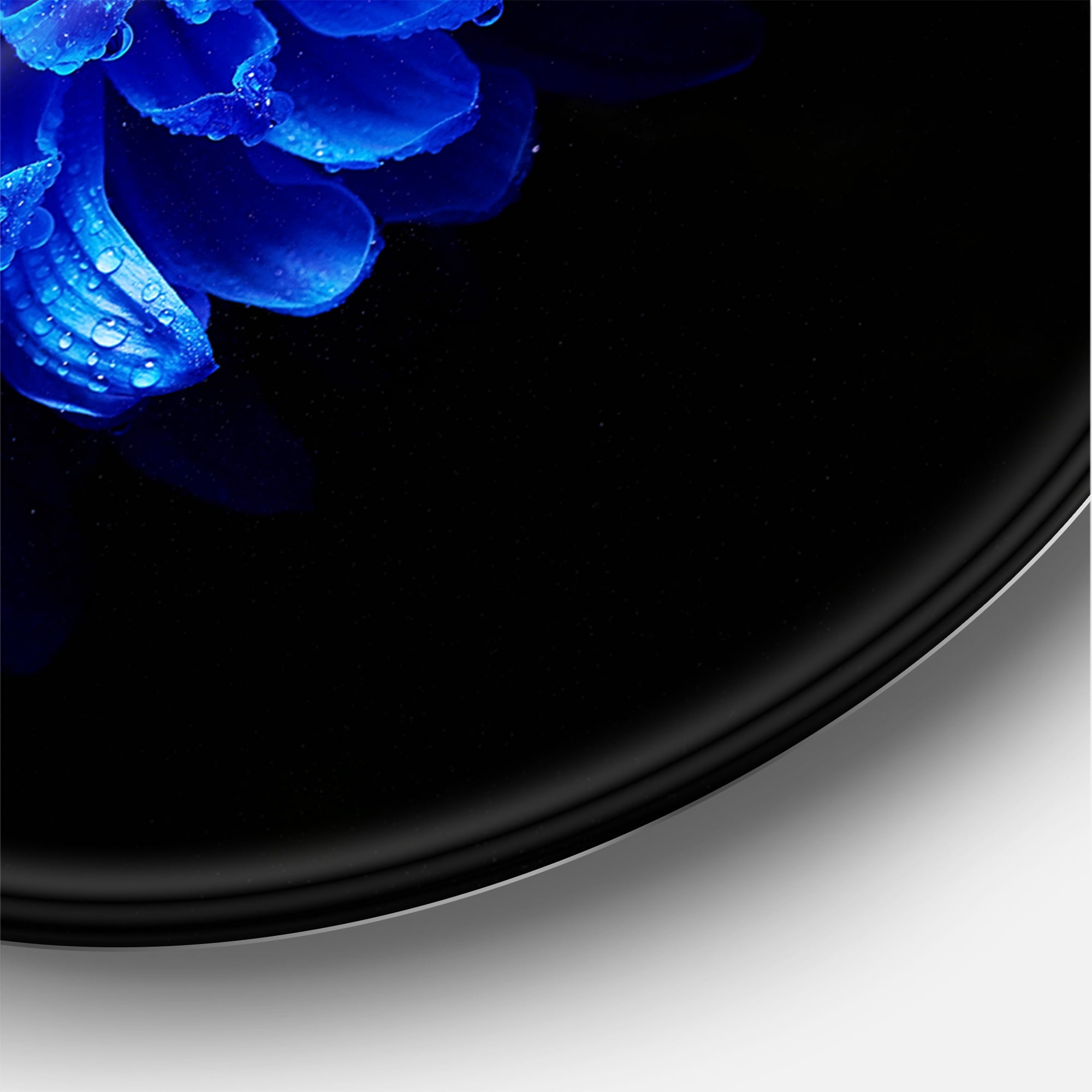 Designart 'Dew Drops on Blue Aster ' Traditional Circle Metal Wall Art 23x23 - Disc of 23