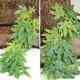 thumbnail image 3 of ORUYROP Aquarium Reptile Fish Tank Artificial Plastic Fake Hanging Plant Decor Reptile Breeding Box Aquarium Landscape Simulation Plant Hanging Leaf 50cm, 3 of 7