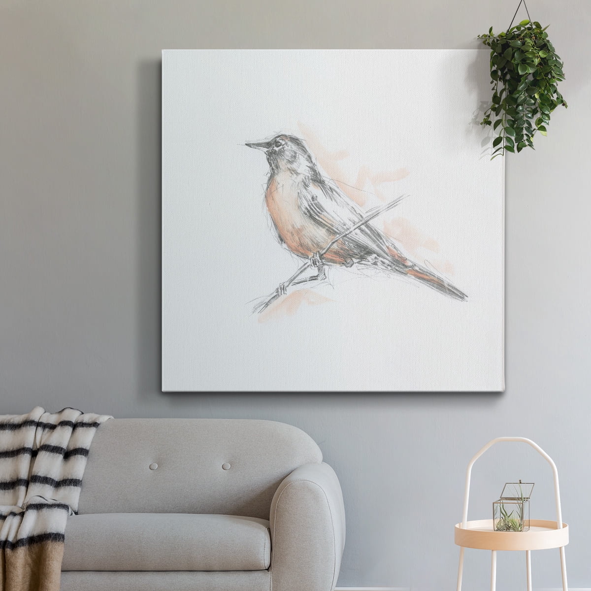 Wexford Home Robin Bird Sketch II-Premium Gallery Wrapped Canvas, 24" x 24" - Ready to Hang