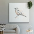thumbnail image 6 of Wexford Home Robin Bird Sketch II-Premium Gallery Wrapped Canvas, 24" x 24" - Ready to Hang, 6 of 8