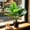Multicolor-3B, variant on MMJ Artificial Plants with Pot Indoor Simulated Desk Decor Living Room Office Bedroom Home 5.42in Realistic Fake Foliage Maintenance Free No Watering