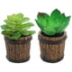thumbnail image 1 of Plantas en macetas suculentas de simulación, barriles de madera, macetas de cemento, flores falsas, adornos creativos, plantas verdes artificiales, 2 uds., 1 of 5