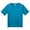 Aquatic Blue, variant on Fruit of the Loom Fl 3930Br Yth 5Oz Hd Cotn Tee