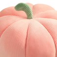 thumbnail image 2 of EIMELI 3D Simulated Plush Pumpkin Pillow 13 Inch Halloween Children Gift  White, 2 of 7