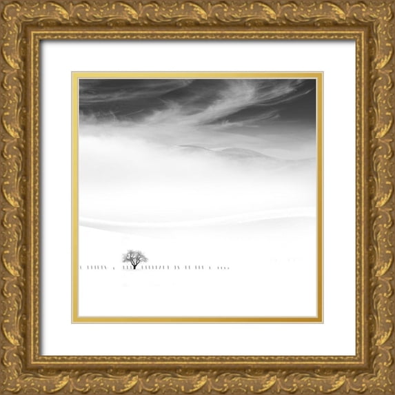 Nodeh, Mostafa 20x20 Gold Ornate Wood Framed with Double Matting Museum Art Print Titled - Poems of Silence