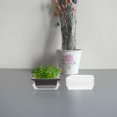 thumbnail image 1 of unbranded 10Ud Platos Para Macetas Con Antigoteo De Plástico Resistente Para Plantas De Interior, 1 of 7