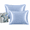 Mist Blue, variant on 2 Pack One-Sided Mulberry Silk Pillowcases, 19 Momme Front 100% Mulberry Silk, Wide Hem Envelope Pillow Covers, Standard 19 x 29 in, Smooth Pillow Cases for Hair and Skin, Gift Box