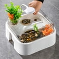 thumbnail image 5 of Meitianfacai Compact Turtle Habitat Tank with Basking Area Desktop Aquarium for Small Reptiles and Aquatic Pets Ideal for Home or Office Decoration and Animal Care, 5 of 6