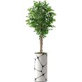 thumbnail image 4 of Artificial Tree in Geometric Pattern Planter, Fake Boxwood Silk Tree for Indoor and Outdoor Home Decoration - 70" Overall Tall (Plant Pot Plus Tree), 4 of 5
