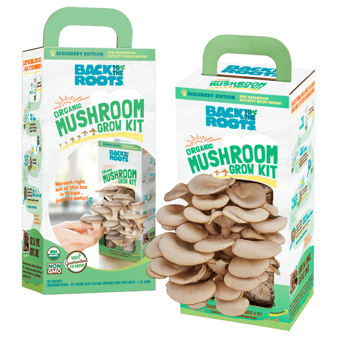 Back To The Roots Mushroom Grow Kit Instructions Back to the Roots Organic Mini Mushroom Grow Kit - Walmart.com