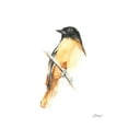 thumbnail image 2 of Harper, Ethan 15x17 Black Ornate Wood Framed with Double Matting Museum Art Print Titled - Watercolor Songbirds VI, 2 of 4