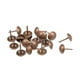 thumbnail image 2 of Uxcell 0.43''x0.67'' Clavos de tapicería, tachuelas redondas, alfileres de empuje de pulgar, tono de hierro y cobre, 40 piezas, 2 of 5