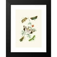 thumbnail image 2 of John Obadiah Westwood 14x18 Black Modern Framed Museum Art Print Titled - The Cabinet of Oriental Entomology Pl IV (1848), 2 of 5