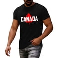 thumbnail image 4 of Mens Big & Tall Short Sleeve T-Shirts Graphic Crewneck Casual Printed Tee Summer Beach Hawaiian Vintage Shirts Size M-4XL Black, 4 of 7
