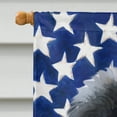 thumbnail image 3 of Carolines Treasures BB9699CHF Newfoundland Puppy Patriotic Flag Canvas House Size  Large multicolor, 3 of 4