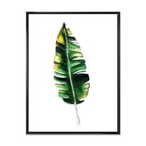 Designart 'Single Banana Leaf On White' Bohemian & Eclectic Framed Canvas Wall Art Print