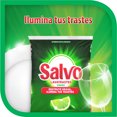 thumbnail image 3 of Detergente en Polvo Lavatrastes Salvo Limón Destruye Grasa 720g, 3 of 5