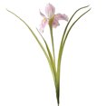 thumbnail image 2 of 26" Artificial Iris Flower, Real Touch Fake Flower Bouquet with Long Stem for Flower Arrangement, Wedding Centerpiece, Bridal Bouquet, Home Kitchen Party Decor, 2 of 8